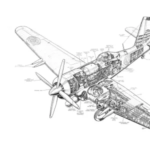 Blackburn Firebrand Cutaway Poster