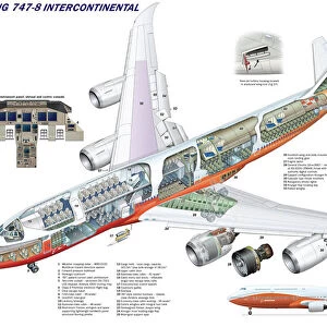 Boeing 747-8 Intercontinental Cutaway Poster