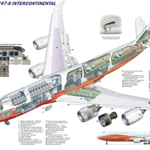 Boeing 747-8 Intercontinental Cutaway Poster