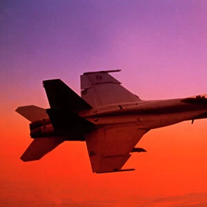 Boeing F18F Super Hornet