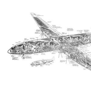 Bristol 167 Brabazon Cutaway Drawing