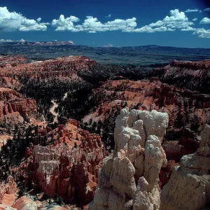 Bryce Canyon Utah USA (c) Collis