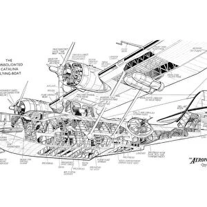 Consolidated Catalina Cutaway Drawing