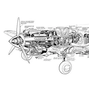 Curtiss Tomahawk Cutaway Drawing