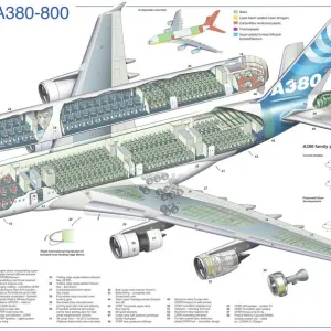 A380NLT Cutaway Print A380NLT Cutaway Print