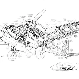DH Mosquito NF11 Cutaway Drawing