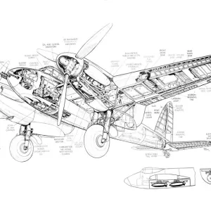 DH Mosquito NF11 Cutaway Drawing