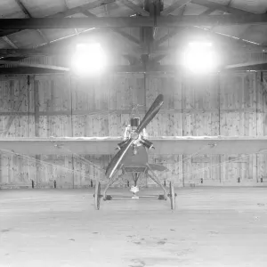 EAC Monoplane Print EAC Monoplane Print