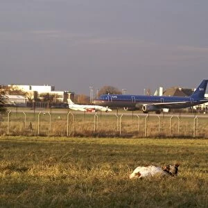 End of Manchester runway