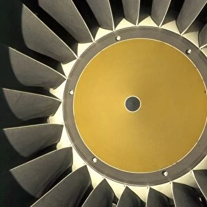 Engines: Rolls Royce RB211