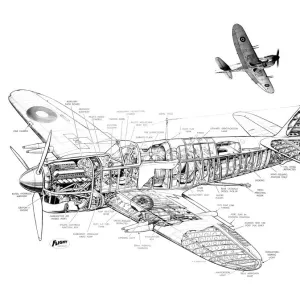 Fairey Firefly Cutaway Drawing