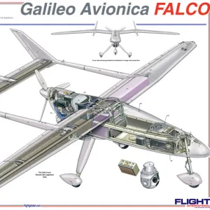 Galileo Falco Cutaway Poster