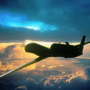 Global Hawk Simonsen Print Global Hawk Simonsen Print