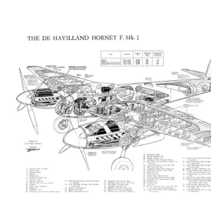 De Havilland DH Hornet Cutaway Drawing