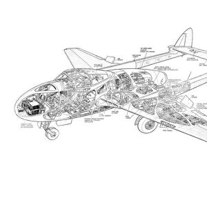 De Havilland DH115 Vampire T11 Cutaway Drawing