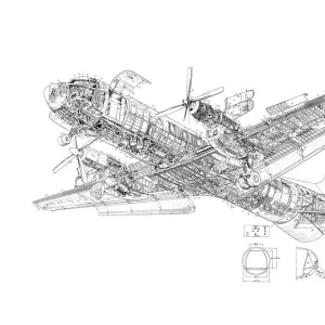 Hawker Siddeley Andover Cutaway Drawing