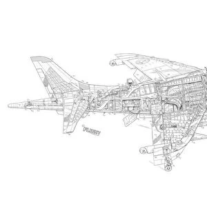 Hawker Siddeley Harrier 2-seat T2 Cutaway Drawing