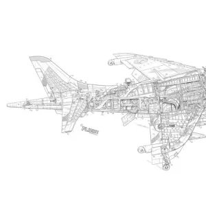 Hawker Siddeley Harrier 2-seat T2 Cutaway Drawing