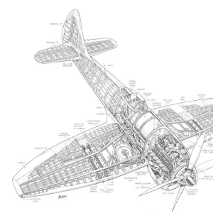 Hawker Tempest MkV Cutaway Drawing