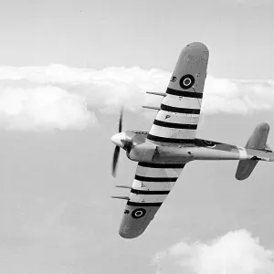 Hawker Typhoon 1A RAF EK286 16/04/43 (c) The Flight Collection Not to be reproduced without permission