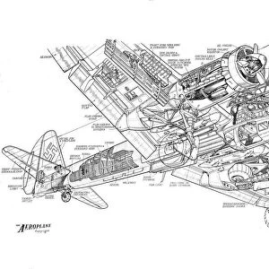 Junkers Ju88 Cutaway Drawing
