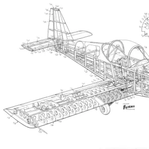 Mitchell Proctor kittiwake Cutaway Drawing