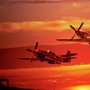 North American P-51D Mustang pair