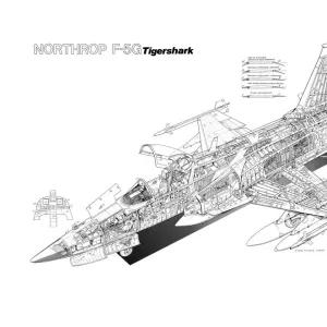 Northrop F-5G Tigershark Cutaway Drawing