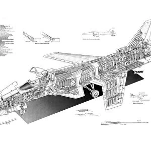 Northrop / Grumman X-29A Cutaway Poster
