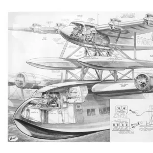 Short Mayo Composite Cutaway Drawing