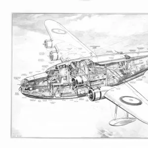 Short S25 Sunderland Cutaway Drawing