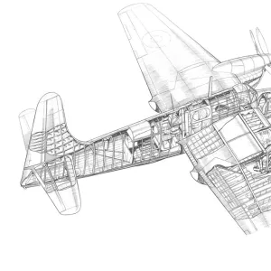 Short Sturgeon Cutaway Drawing