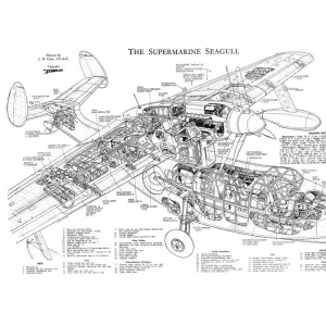 Supermarine Seagull Cutaway Drawing