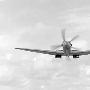 Supermarine Spitfire (c) Flight