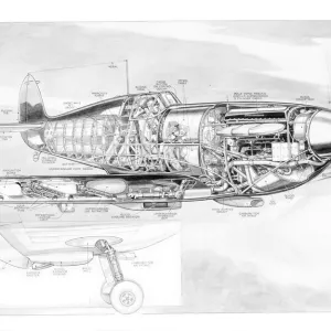 Supermarine Spitfire Cutaway Drawing