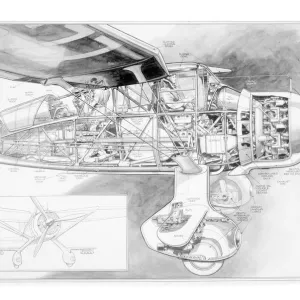 Westland Lysander Cutaway Drawing