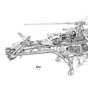 Westland Wasp Cutaway Drawing