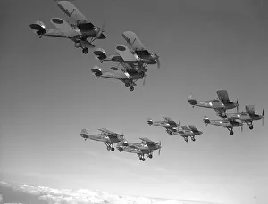 1930's Military Gallery: 1930's Military, World War II 1939 45, FA 16476s