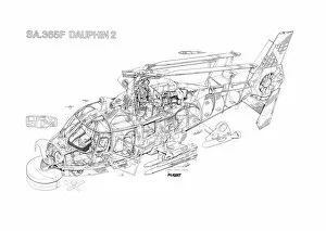 Military Helicopter Cutaways Gallery: Aeospatiale SA365 Dauphin 2 Cutaway Drawing