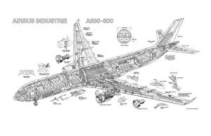 General Aviation Cutaways Collection: Airbus A330-300 Cutaway Drawing