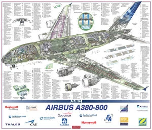 Civil Aviation 1949-Present Cutaways Collection: Airbus A380-800 Cutaway Poster