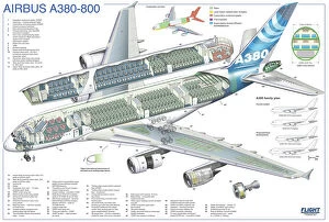 Trending: Airbus A380-800 Cutaway Poster
