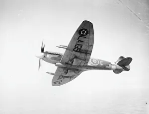 Airforce, 14131686