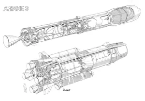 Ariane Tone Side View - 3 Cutaway Drawing