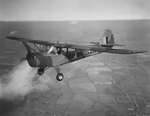 Auster V