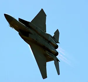 Flight Collection: F-15