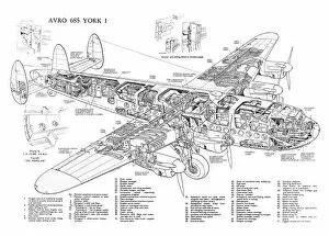 Military Aviation 1946-Present Cutaways Gallery: Avro 685 York Cutaway Poster