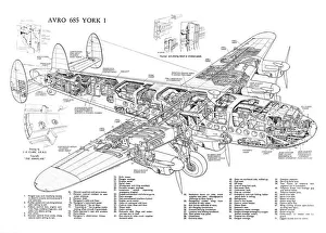 <b class=qtipBold><figcaption>Avro 685 York Cutaway Poster</figcaption></b><br><em>© Flightglobal</em> Avro 685 York Cutaway Poster