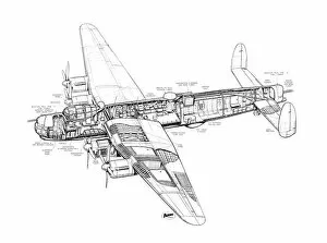 Military Aviation 1946-Present Cutaways Gallery: Avro 694 Lincoln Cutaway Drawing