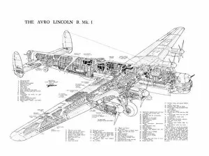 Military Aviation 1946-Present Cutaways Gallery: Avro 694 Lincoln Cutaway Poster